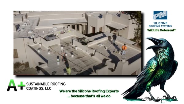 The High Cost of Ignoring Small Leaks: A Closer Look at Flat Roof Maintenance